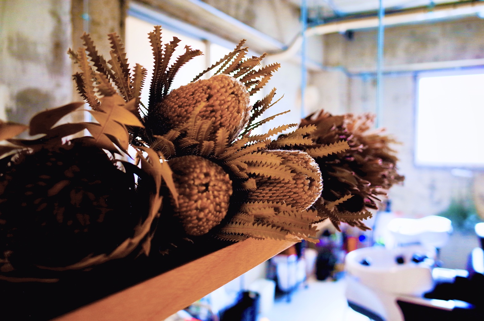 ヌーノ・アトリエ ドライフラワー画像３